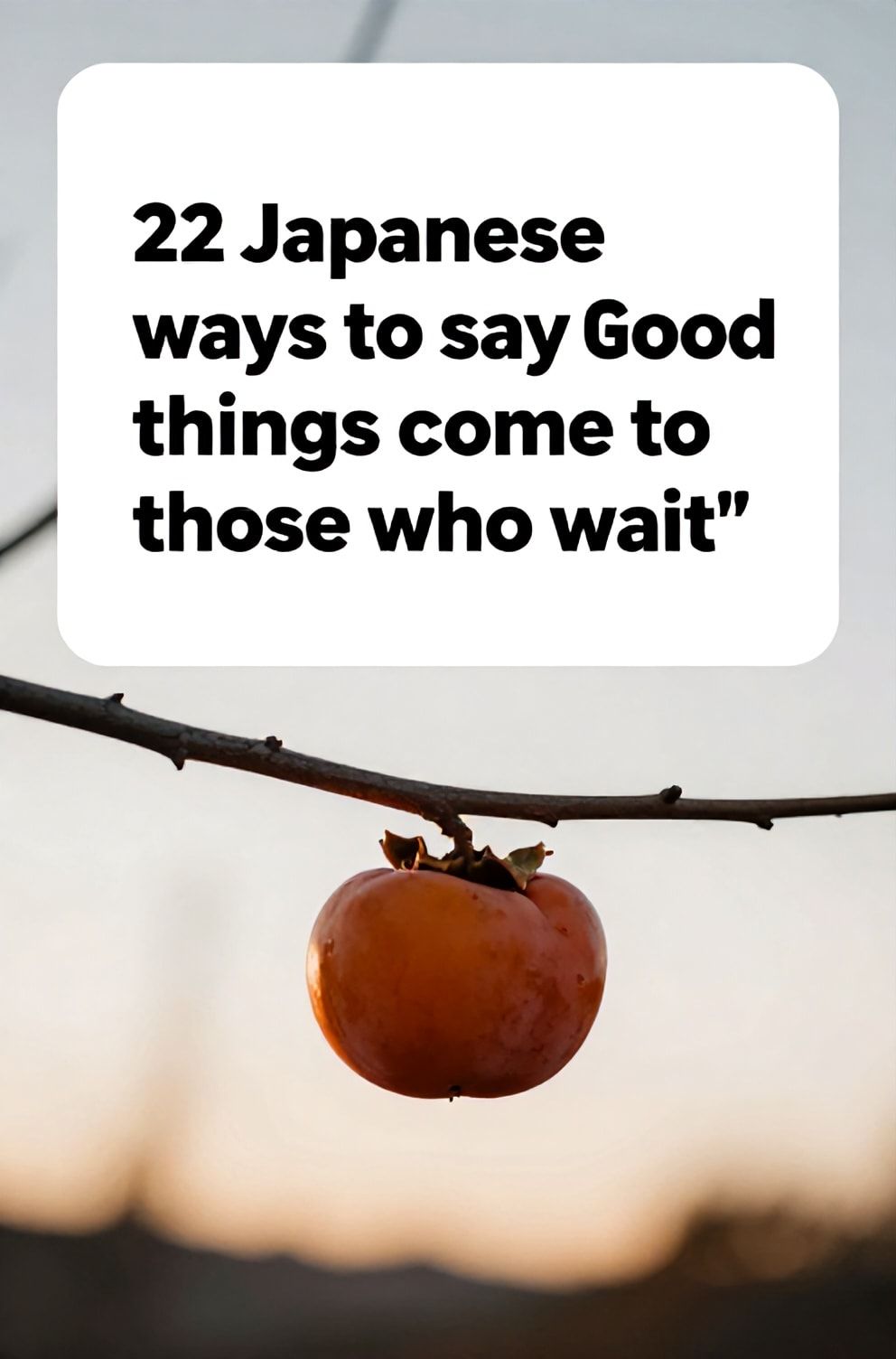 Bold%2C%20sharp%20text%20that%20says%20%E2%80%9C22%20Japanese%20ways%20to%20say%20%E2%80%9CGood%20things%20come%20to%20those%20who%20wait%E2%80%9D%E2%80%9D.%20The%20text%20is%20placed%20at%20the%20top%20inside%20a%20white%2C%20rounded%20rectangular%20illustration%20box%20in%20negative%20space%2C%20beautiful%20Pinterest-style%20frame.%20Pinterest-style%20illustration%20showing%20a%20ripe%20persimmon%20hanging%20from%20a%20bare%20branch.%20A%20soft%20autumn%20sunset%20with%20golden%20light%20warming%20the%20scene.%20Clean%2C%20minimal%20composition%2C%20cold%20neutral%20or%20warm%20neutral%20color%20palette