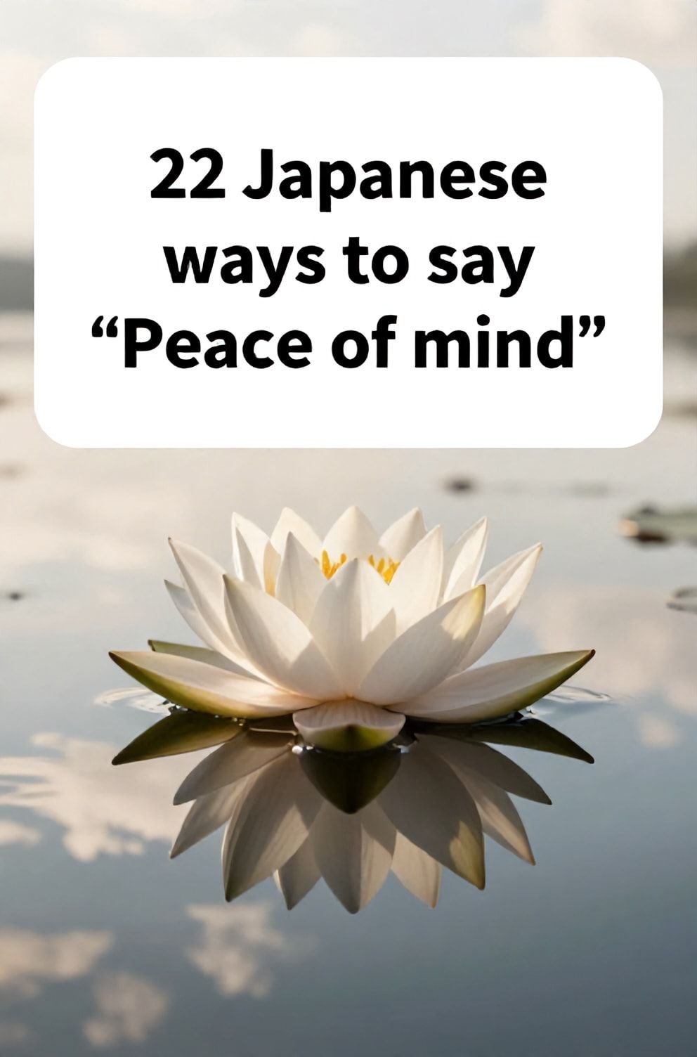 Bold%2C%20sharp%20text%20that%20says%20%E2%80%9C22%20Japanese%20ways%20to%20say%20%E2%80%9CPeace%20of%20mind%E2%80%9D%E2%80%9D.%20The%20text%20is%20placed%20at%20the%20top%20inside%20a%20white%2C%20rounded%20rectangular%20illustration%20box%20in%20negative%20space%2C%20beautiful%20Pinterest-style%20frame.%20Pinterest-style%20illustration%20showing%20a%20still%20lotus%20flower%20floating%20on%20a%20pond.%20A%20serene%20reflection%20of%20clouds%20and%20sky%20on%20perfectly%20calm%20water.%20Clean%2C%20minimal%20composition%2C%20cold%20neutral%20or%20warm%20neutral%20color%20palette