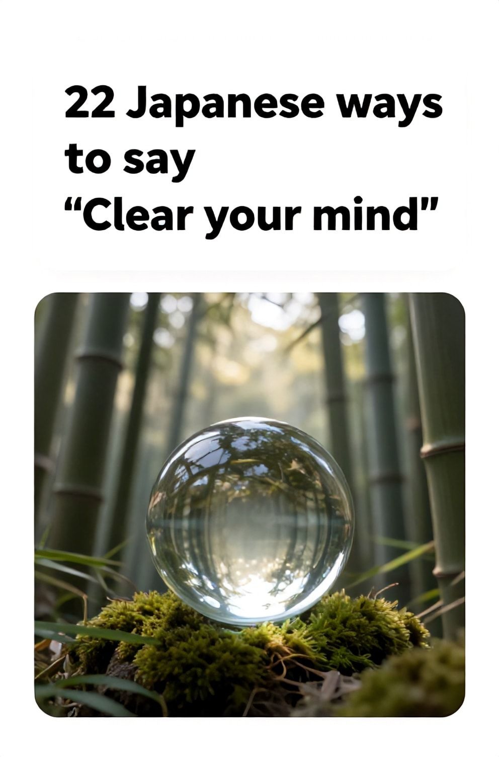 Bold%2C%20sharp%20text%20that%20says%20%E2%80%9C22%20Japanese%20ways%20to%20say%20%E2%80%9CClear%20your%20mind%E2%80%9D%E2%80%9D.%20The%20text%20is%20placed%20at%20the%20top%20inside%20a%20white%2C%20rounded%20rectangular%20illustration%20box%20in%20negative%20space%2C%20beautiful%20Pinterest-style%20frame.%20Pinterest-style%20illustration%20showing%20a%20pristine%20glass%20orb%20resting%20on%20moss.%20A%20background%20of%20sunlight%20filtering%20through%20a%20dense%20bamboo%20grove.%20Clean%2C%20minimal%20composition%2C%20cold%20neutral%20or%20warm%20neutral%20color%20palette