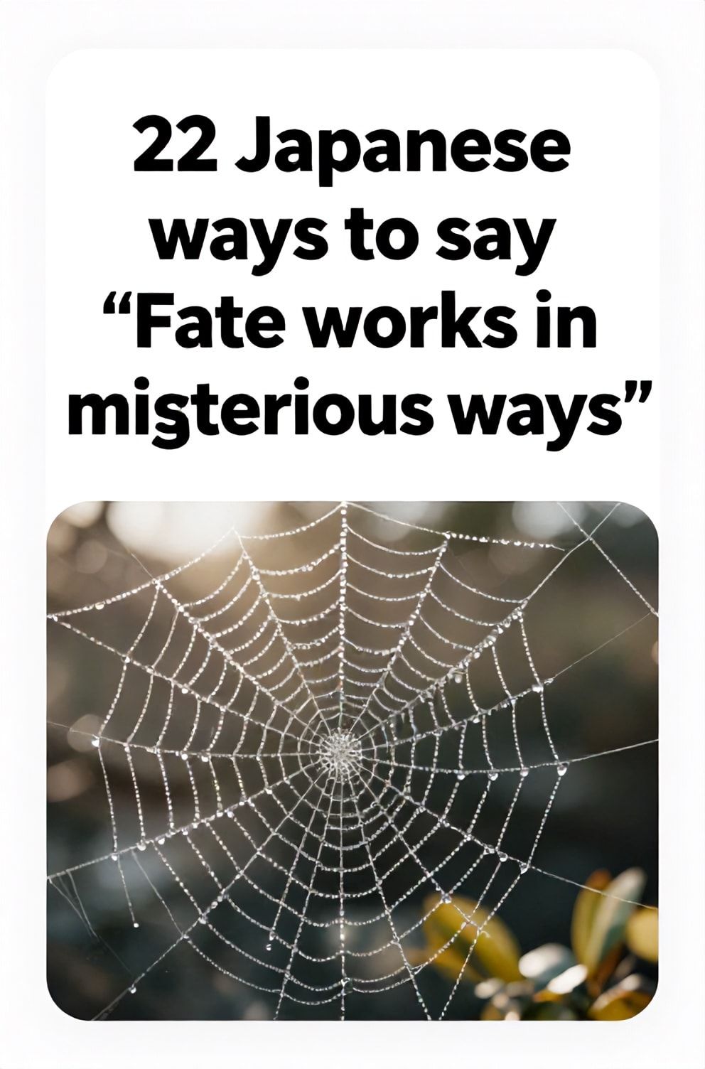 Bold%2C%20sharp%20text%20that%20says%20%E2%80%9C22%20Japanese%20ways%20to%20say%20%E2%80%9CFate%20works%20in%20mysterious%20ways%E2%80%9D%E2%80%9D.%20The%20text%20is%20placed%20at%20the%20top%20inside%20a%20white%2C%20rounded%20rectangular%20illustration%20box%20in%20negative%20space%2C%20beautiful%20Pinterest-style%20frame.%20Pinterest-style%20illustration%20showing%20a%20spiderweb%20glistening%20with%20dew%20in%20the%20sun.%20A%20hidden%20corner%20of%20a%20garden%20where%20unseen%20connections%20are%20made.%20Clean%2C%20minimal%20composition%2C%20cold%20neutral%20or%20warm%20neutral%20color%20palette