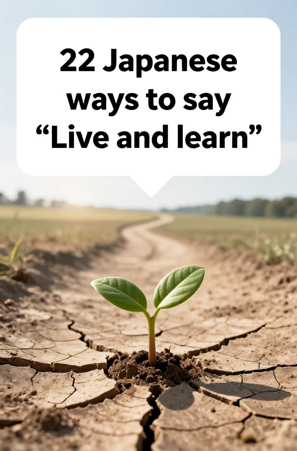 Bold%2C%20sharp%20text%20that%20says%20%E2%80%9C22%20Japanese%20ways%20to%20say%20%E2%80%9CLive%20and%20learn%E2%80%9D%E2%80%9D.%20The%20text%20is%20placed%20at%20the%20top%20inside%20a%20white%2C%20rounded%20rectangular%20illustration%20box%20in%20negative%20space%2C%20beautiful%20Pinterest-style%20frame.%20Pinterest-style%20illustration%20showing%20a%20seedling%20growing%20from%20cracked%20earth.%20A%20path%20winding%20through%20a%20landscape%20of%20both%20sunshine%20and%20shadow.%20Clean%2C%20minimal%20composition%2C%20cold%20neutral%20or%20warm%20neutral%20color%20palette