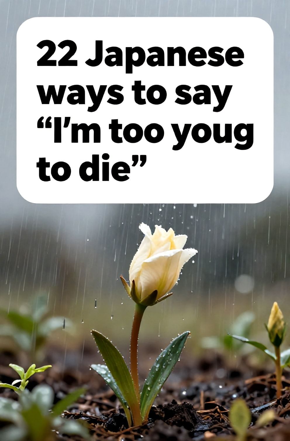 Bold%2C%20sharp%20text%20that%20says%20%E2%80%9C22%20Japanese%20ways%20to%20say%20%E2%80%9CI%E2%80%99m%20too%20young%20to%20die%E2%80%9D%E2%80%9D.%20The%20text%20is%20placed%20at%20the%20top%20inside%20a%20white%2C%20rounded%20rectangular%20illustration%20box%20in%20negative%20space%2C%20beautiful%20Pinterest-style%20frame.%20Pinterest-style%20illustration%20showing%20a%20budding%20flower%20unfurling%20in%20the%20rain.%20A%20garden%20full%20of%20potential%20and%20new%20growth%20after%20a%20storm.%20Clean%2C%20minimal%20composition%2C%20cold%20neutral%20or%20warm%20neutral%20color%20palette